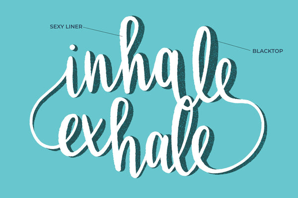 DRY LINERS SET DI PENNELLI PROCREATE