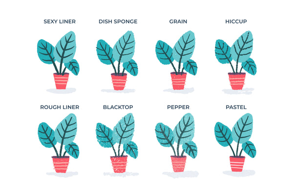 DRY LINERS SET DI PENNELLI PROCREATE