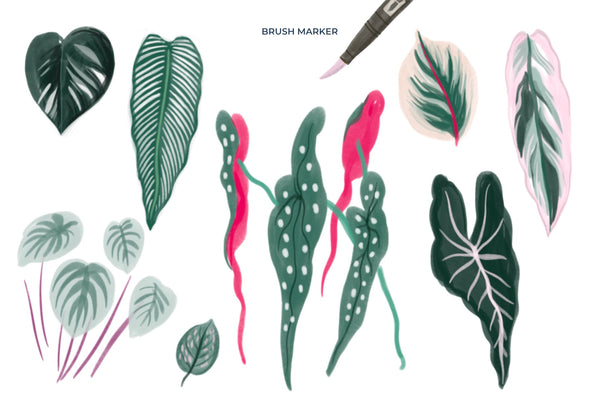 PENNARELLI SET DI PENNELLI PROCREATE